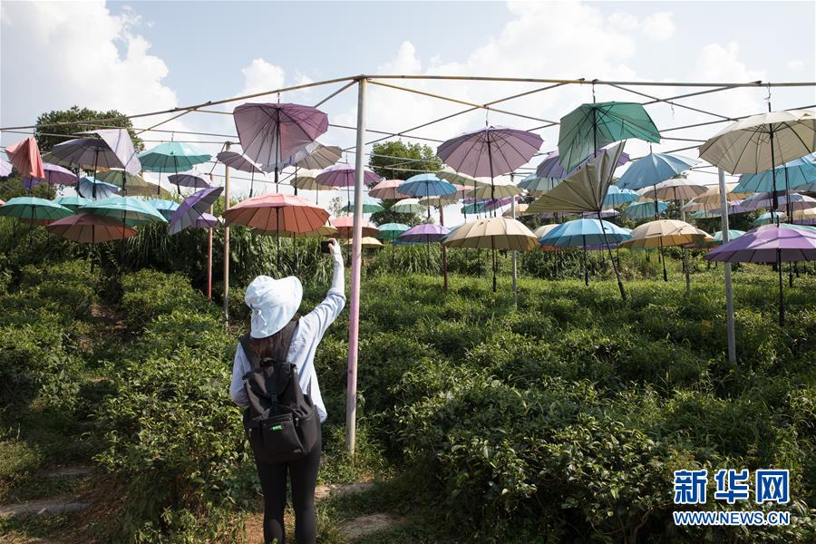 （大江奔流&mdash;&mdash;來自長江經(jīng)濟(jì)帶的報道&middot;圖文互動）（4）在這里，做一個幸福的農(nóng)民