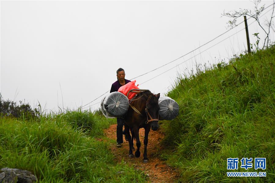 （新華全媒頭條&middot;圖文互動）（4）一個人，一座山&mdash;&mdash;劉真茂的生命守望