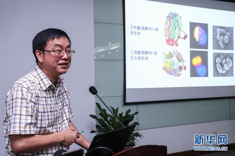 （科技）（2）中國(guó)&ldquo;創(chuàng)造&rdquo;世界首例單條染色體真核細(xì)胞