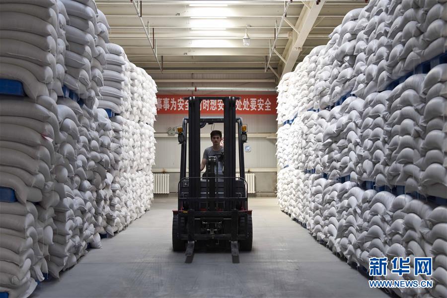 （新華全媒頭條&middot;圖文互動(dòng)）（6）去新疆！穿越古今絲綢之路