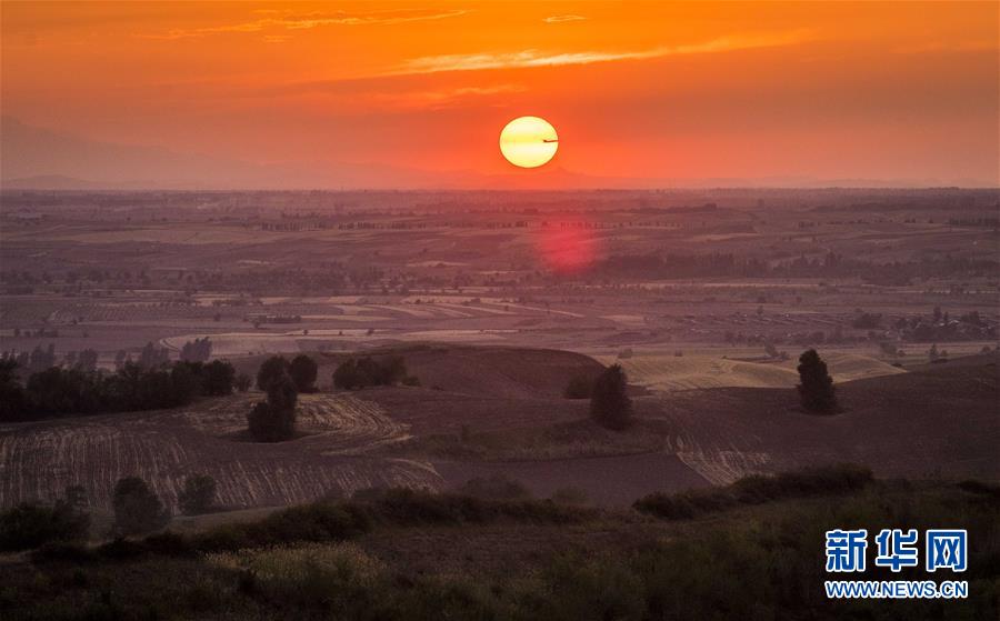 (圖文互動)(1)藝術(shù)家進村 新疆古老村莊煥發(fā)新顏