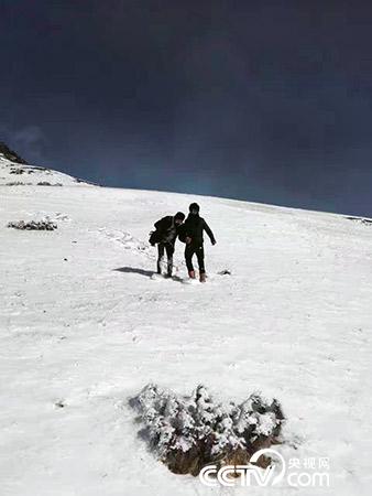 下雪天巡護(hù)也是常有的事。