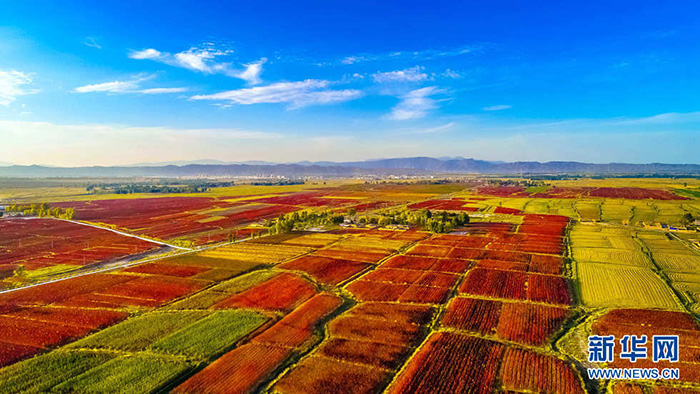 秋收的中國(guó)，你想象不到的美！但更美的是&hellip;&hellip;