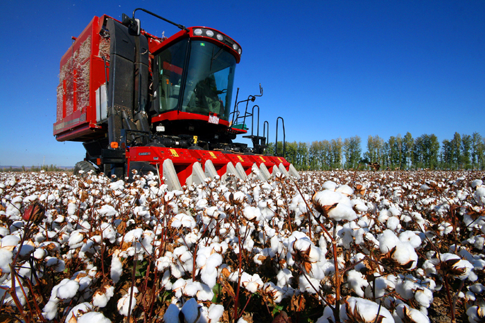 秋收的中國(guó)，你想象不到的美！但更美的是&hellip;&hellip;