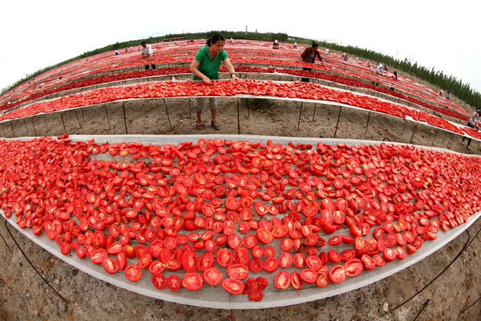 秋收的中國(guó)，你想象不到的美！但更美的是&hellip;&hellip;