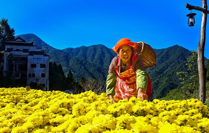 秋收的中國(guó)，你想象不到的美！但更美的是&hellip;&hellip;