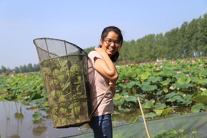 秋收的中國(guó)，你想象不到的美！但更美的是&hellip;&hellip;