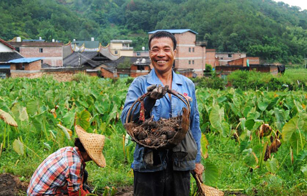 秋收的中國(guó)，你想象不到的美！但更美的是&hellip;&hellip;