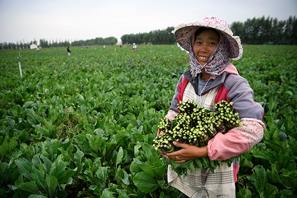 秋收的中國(guó)，你想象不到的美！但更美的是&hellip;&hellip;