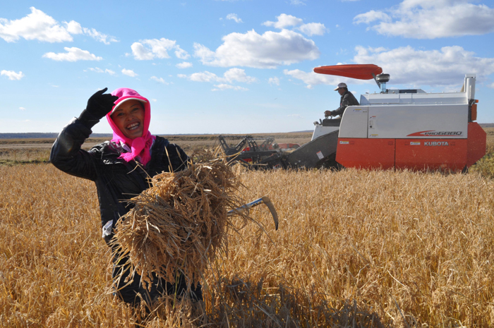 秋收的中國(guó)，你想象不到的美！但更美的是&hellip;&hellip;