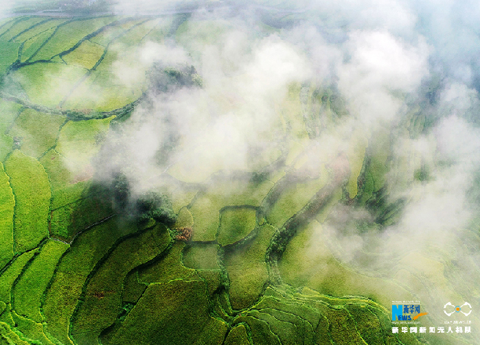 秋收的中國(guó)，你想象不到的美！但更美的是&hellip;&hellip;