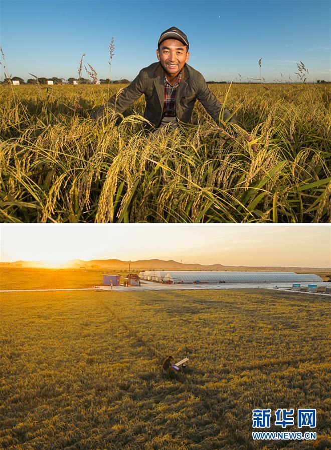 （新華全媒頭條&middot;圖文互動(dòng)）（10）最年輕的節(jié)日 最悠久的牽念&mdash;&mdash;寫(xiě)給首個(gè)中國(guó)農(nóng)民豐收節(jié)
