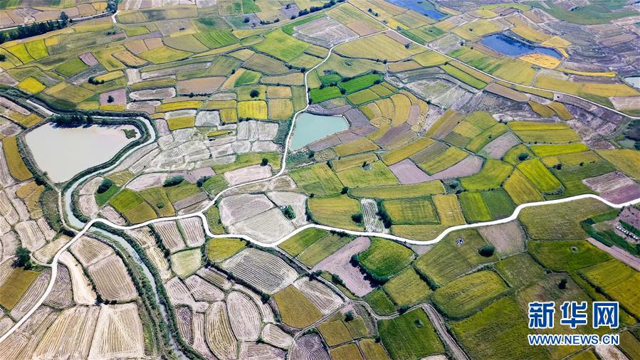 （壯闊東方潮　奮進(jìn)新時(shí)代&mdash;&mdash;慶祝改革開放40年&middot;圖文互動(dòng)）（1）&ldquo;人民的期盼就是改革的動(dòng)力&rdquo;&mdash;&mdash;&ldquo;大包干&rdquo;帶頭人寄語改革