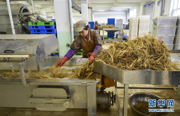 （百城百縣百企調(diào)研行&middot;圖文互動(dòng)）（5）吉林集安：邊陲&ldquo;綠色明珠&rdquo;為何如此閃亮？