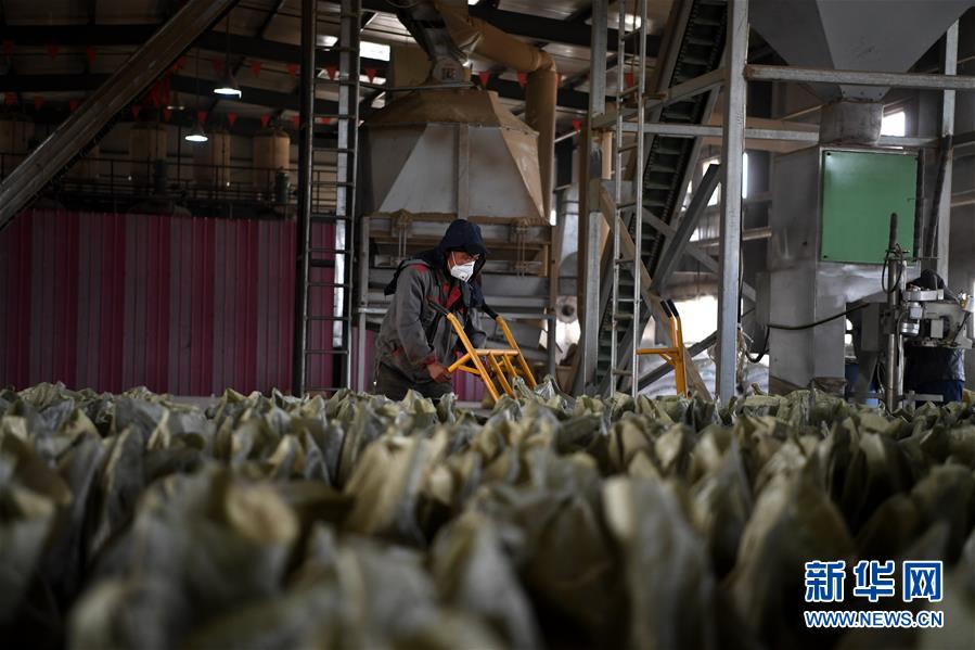 （在習(xí)近平新時(shí)代中國特色社會主義思想指引下&mdash;&mdash;新時(shí)代新氣象新作為&middot;鄉(xiāng)村振興戰(zhàn)略&middot;圖文互動）（1）&ldquo;與其放火，不如打包&rdquo;&mdash;&mdash;山西渾源秸稈綜合再利用見聞