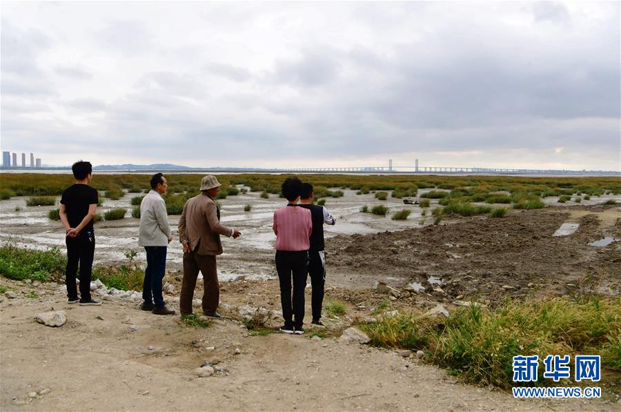 (新華視點·圖文互動)(5)福建10名黨員干部被問責(zé)的背后:7部門十余次執(zhí)法未能有效制止泉州灣濕地圍墾行為