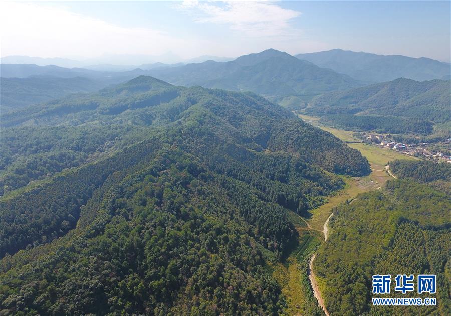 （在習(xí)近平新時(shí)代中國特色社會(huì)主義思想指引下&middot;慶祝改革開放40周年&middot;綠色發(fā)展&middot;圖文互動(dòng)）（3）向陽花木易為春&mdash;&mdash;綠色發(fā)展之&ldquo;木&rdquo;的故事