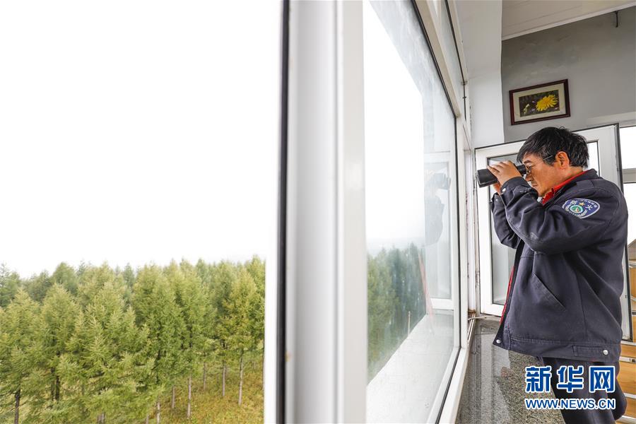 （新華全媒頭條&middot;圖文互動(dòng)）（3）那一抹綠色，走進(jìn)越來(lái)越多人心里&mdash;&mdash;河北塞罕壩續(xù)寫新時(shí)代綠色傳奇