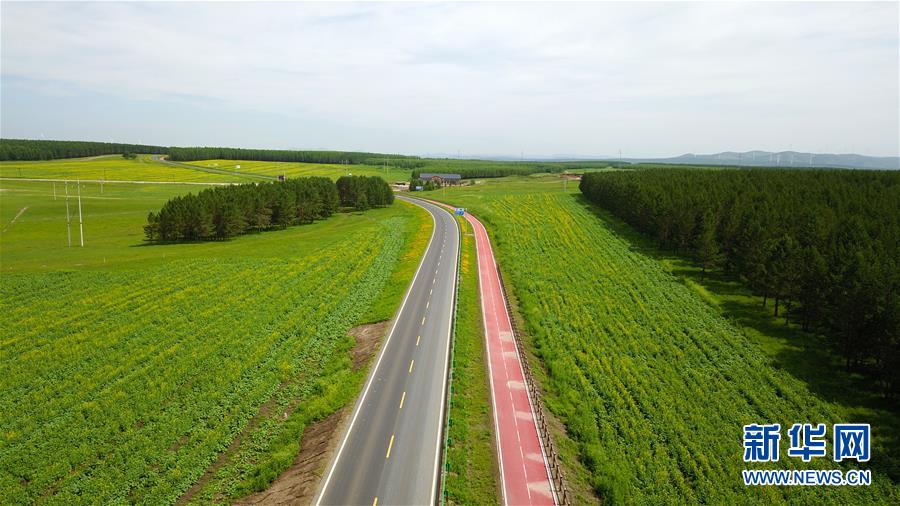 （新華全媒頭條&middot;圖文互動(dòng)）（4）那一抹綠色，走進(jìn)越來(lái)越多人心里&mdash;&mdash;河北塞罕壩續(xù)寫新時(shí)代綠色傳奇