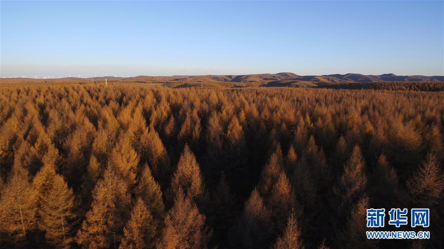 （新華全媒頭條&middot;圖文互動(dòng)）（6）那一抹綠色，走進(jìn)越來(lái)越多人心里&mdash;&mdash;河北塞罕壩續(xù)寫新時(shí)代綠色傳奇
