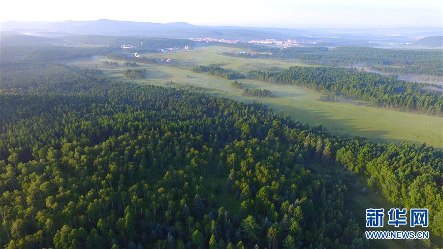 （新華全媒頭條&middot;圖文互動(dòng)）（5）那一抹綠色，走進(jìn)越來(lái)越多人心里&mdash;&mdash;河北塞罕壩續(xù)寫新時(shí)代綠色傳奇