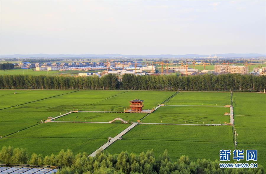 (慶祝改革開放40周年基層行·鄉(xiāng)鎮(zhèn)篇·圖文互動)(3)三產融合培育鄉(xiāng)村振興熱土——吉林孤店子鎮(zhèn)“村變城”背后的故事