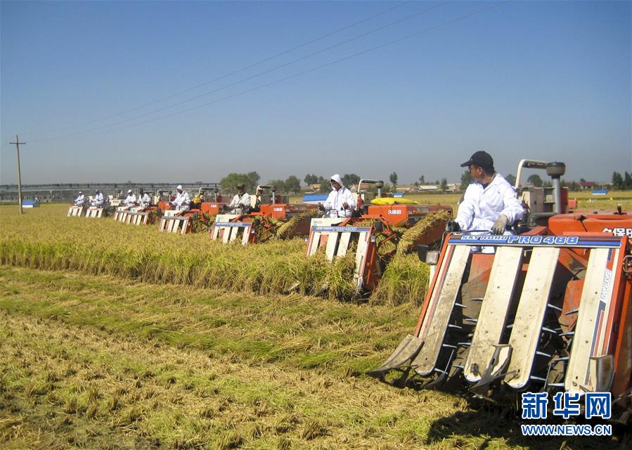 (慶祝改革開放40周年基層行·鄉(xiāng)鎮(zhèn)篇·圖文互動)(6)三產融合培育鄉(xiāng)村振興熱土——吉林孤店子鎮(zhèn)“村變城”背后的故事