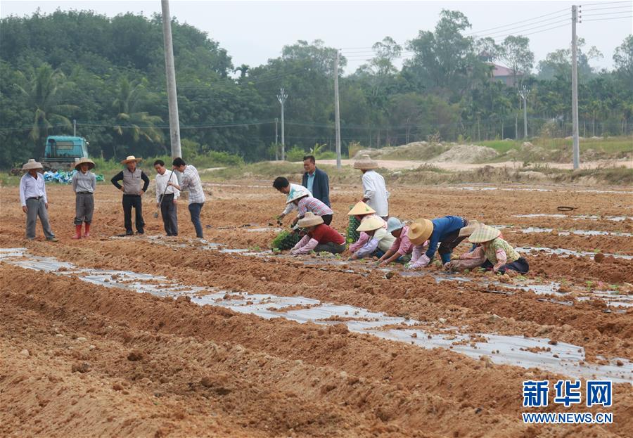 （新華視點&middot;回望2018&middot;圖文互動）（7）2018年新華社曝光多起破壞生態(tài)事件，記者年底追訪發(fā)現(xiàn)&hellip;&hellip;