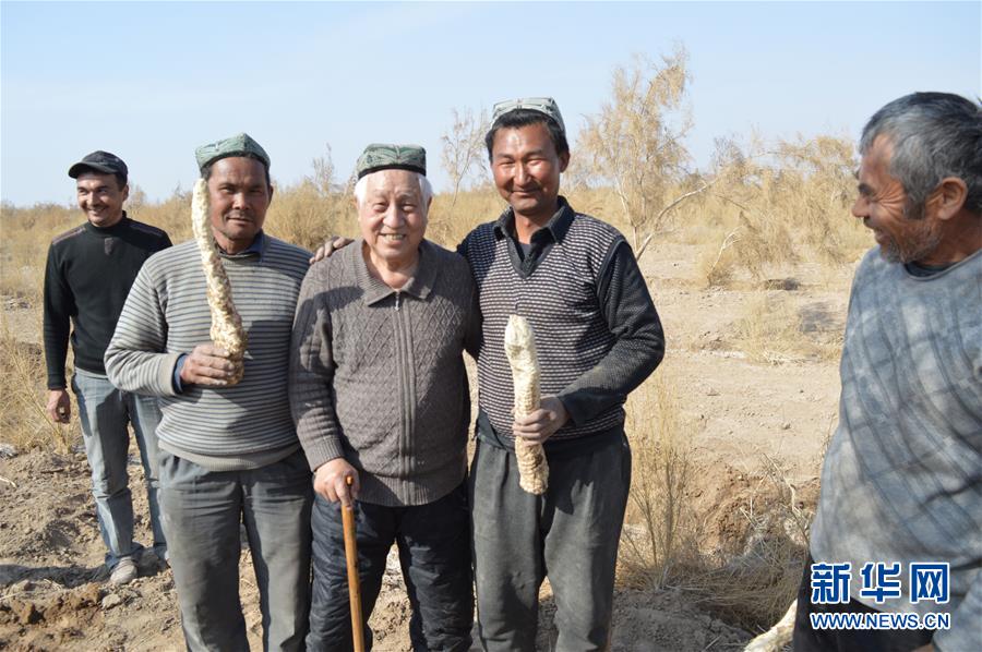 （圖文互動）（3）&ldquo;劉紅柳&rdquo;，一輩子大漠扎根種樹