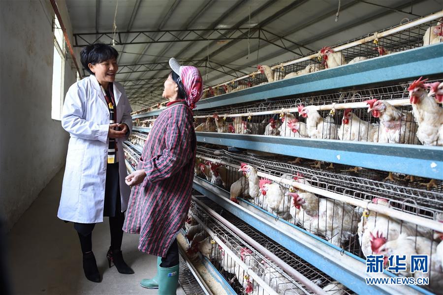 (改革先鋒風(fēng)采·圖文互動(dòng))(2)余留芬:讓人人有事干戶戶都小康