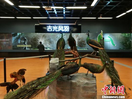 先有雞還是先有蛋？這個科普展覽有點&ldquo;不一般&rdquo;