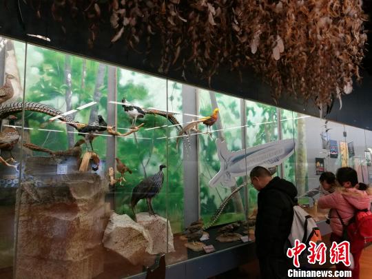 圖為展覽現(xiàn)場。　胡遠(yuǎn)航 攝