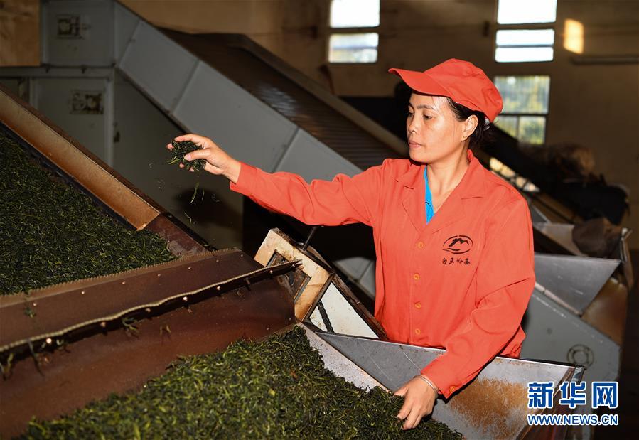 （奮進(jìn)新時代&middot;迎接兩會）（2）開放發(fā)展&mdash;&mdash;推動形成全面開放新格局