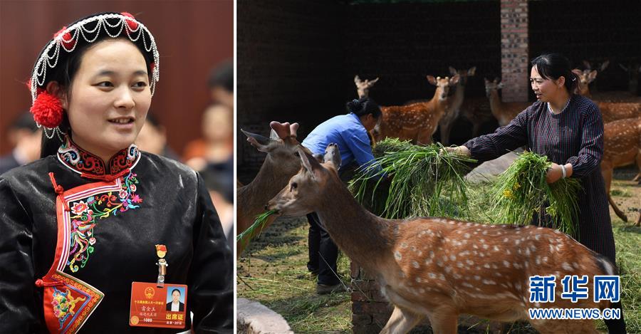 (兩會(huì)·影像鏈接)全國人大代表雷金玉:努力吸引人才 推動(dòng)鄉(xiāng)村振興