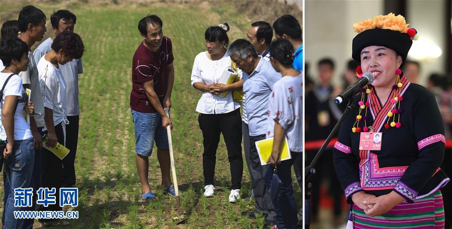 (兩會·影像鏈接)全國政協(xié)委員張敏:培養(yǎng)新型農(nóng)民 助力脫貧攻堅