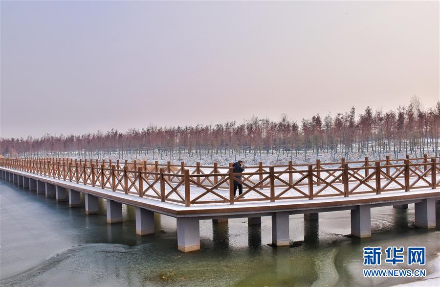 (在習(xí)近平新時(shí)代中國特色社會(huì)主義思想指引下——新時(shí)代新作為新篇章·圖文互動(dòng))(4)水綠相間看古都 古今輝映洛陽城