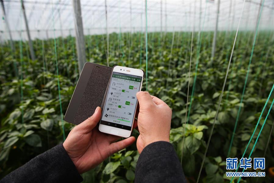 （新華全媒頭條&middot;圖文互動(dòng)）（8）聚焦高質(zhì)量，躍上新臺(tái)階&mdash;&mdash;新年開局看中國(guó)經(jīng)濟(jì)信心和潛力