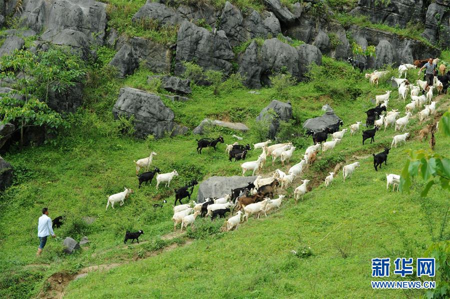 （兩會前夕看落實&middot;圖文互動）（2）決戰(zhàn)脫貧攻堅 奮力后發(fā)趕超&mdash;&mdash;貴州落實習近平總書記全國兩會重要講話精神紀實