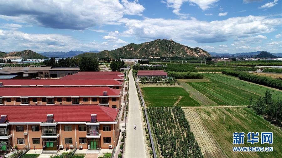 （新華全媒頭條&middot;圖文互動(dòng)）（5）承諾有&ldquo;干貨&rdquo; 落實(shí)有&ldquo;硬招&rdquo;&mdash;&mdash;&ldquo;全國兩會(huì)部長通道&rdquo;上承諾踐行情況掃描