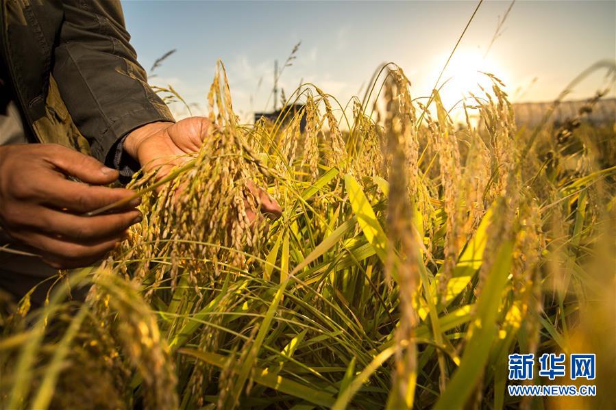 (新華全媒頭條·迎接兩會(huì)特別報(bào)道·圖文互動(dòng))(4)會(huì)當(dāng)水擊三千里——全國兩會(huì)前夕看中國信心