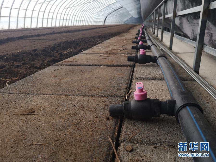 （在習(xí)近平新時(shí)代中國(guó)特色社會(huì)主義思想指引下&mdash;&mdash;新時(shí)代新作為新篇章&middot;圖文互動(dòng)）（3）黑土地上感受&ldquo;中國(guó)飯碗&rdquo;新變化