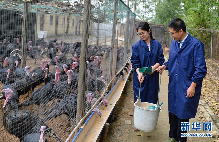 (新華全媒頭條·兩會(huì)特別報(bào)道·圖文互動(dòng))(4)凝聚不懈奮斗的磅礴力量——從全國(guó)兩會(huì)看奮進(jìn)中國(guó)的奮斗姿態(tài)