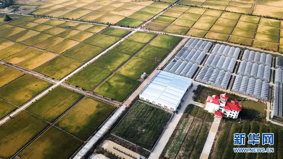 （新華全媒頭條&middot;愛國情 奮斗者&middot;圖文互動）（8）一個村的奮斗，一個時代的巨變&mdash;&mdash;記敢&ldquo;蹚新路&rdquo;的小崗人