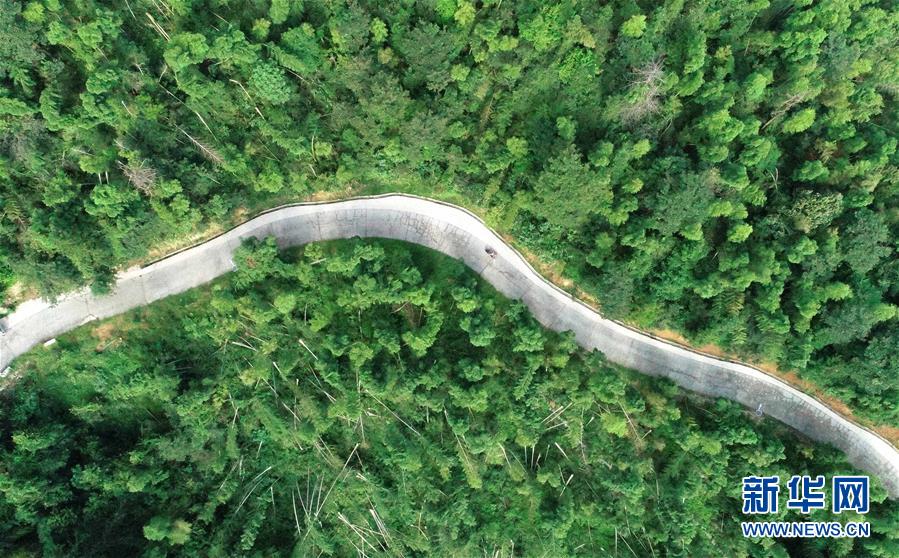 （中國網(wǎng)事&middot;感動(dòng)2019&middot;圖文互動(dòng)）（7）鄉(xiāng)村教師高自仁：60多根拐杖，撐起42年教學(xué)路