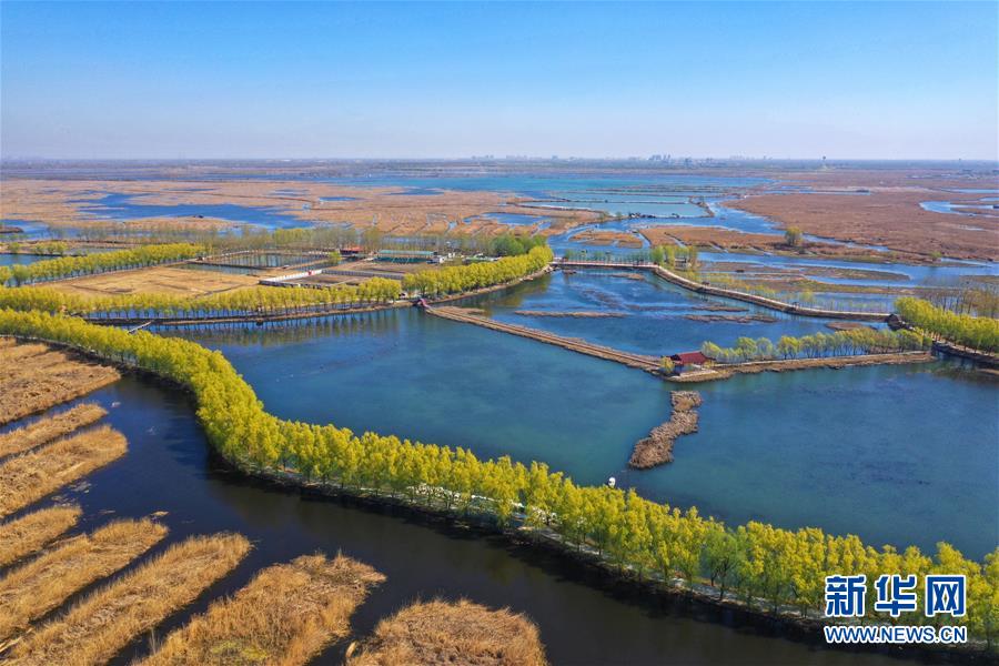 （新華全媒頭條&middot;圖文互動(dòng)）（5）奮進(jìn)，向著未來(lái)之城！&mdash;&mdash;河北雄安新區(qū)建設(shè)發(fā)展兩周年紀(jì)實(shí)