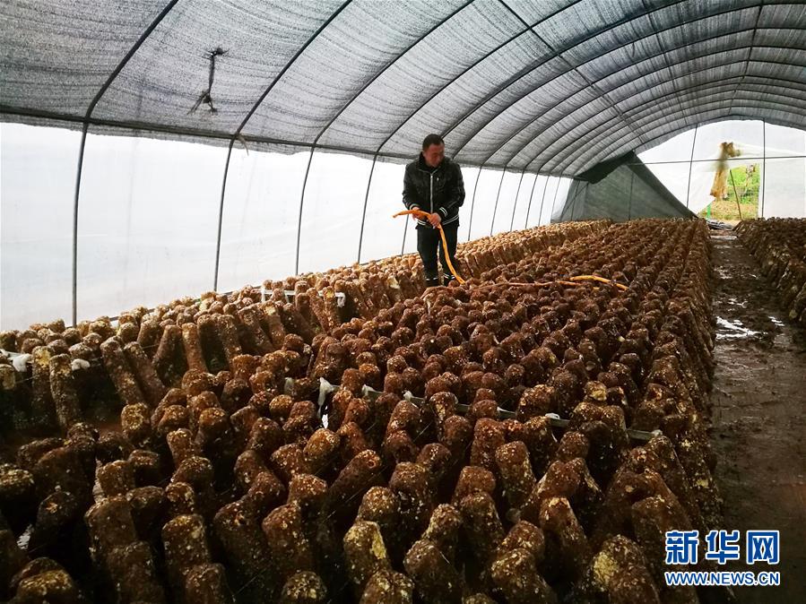 (新華全媒頭條·圖文互動(dòng))(1)以生命赴使命 用熱血鑄忠魂——記犧牲在脫貧攻堅(jiān)戰(zhàn)場(chǎng)上的英雄們