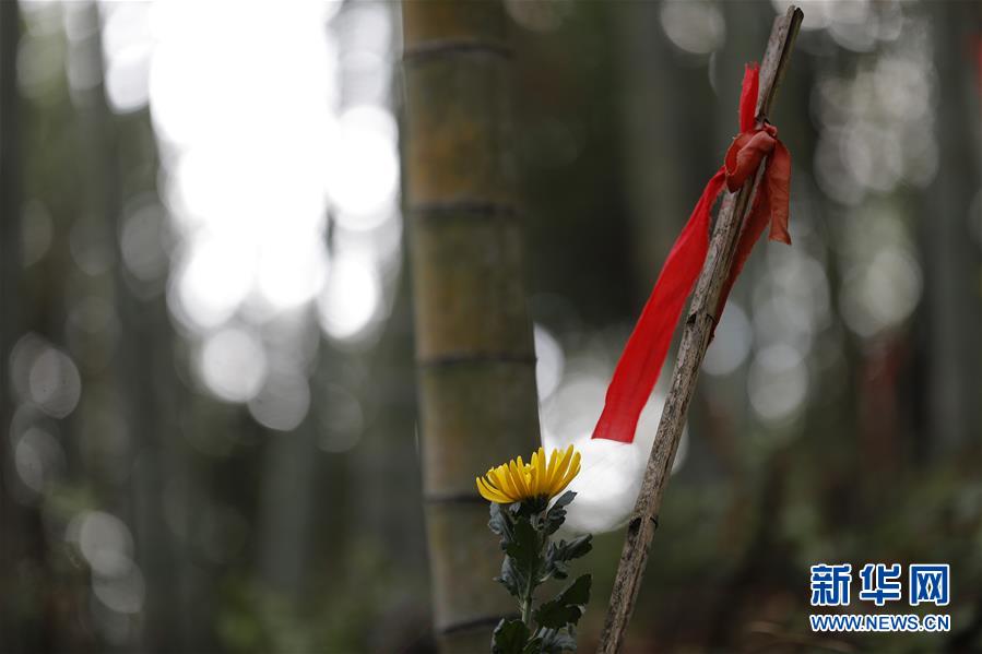 （圖文互動）（5）永不遲到的祭奠&mdash;&mdash;追尋1343座無名紅軍墓背后的故事