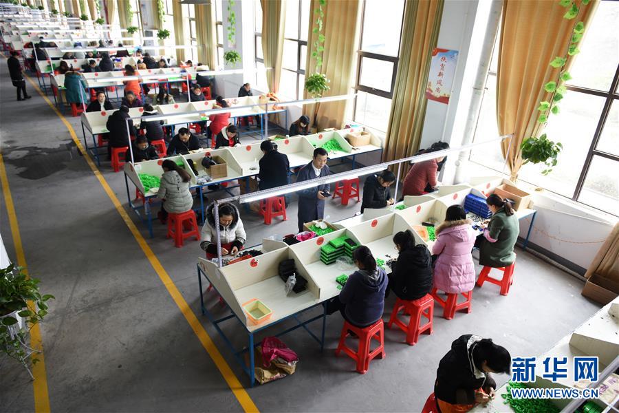 （在習(xí)近平新時(shí)代中國(guó)特色社會(huì)主義思想指引下&mdash;&mdash;新時(shí)代新作為新篇章&middot;圖文互動(dòng)）（5）&ldquo;搬遷到哪里，服務(wù)就延伸到哪里&rdquo;&mdash;&mdash;貴州推進(jìn)易地扶貧搬遷&ldquo;后半篇文章&rdquo; 