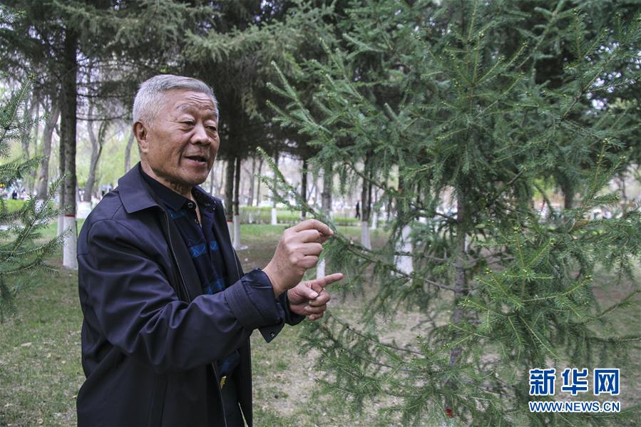 (壯麗70年·奮斗新時代·圖文互動)(5)記者蹲點(diǎn)手記:感受“戈壁明珠”嶄新容顏