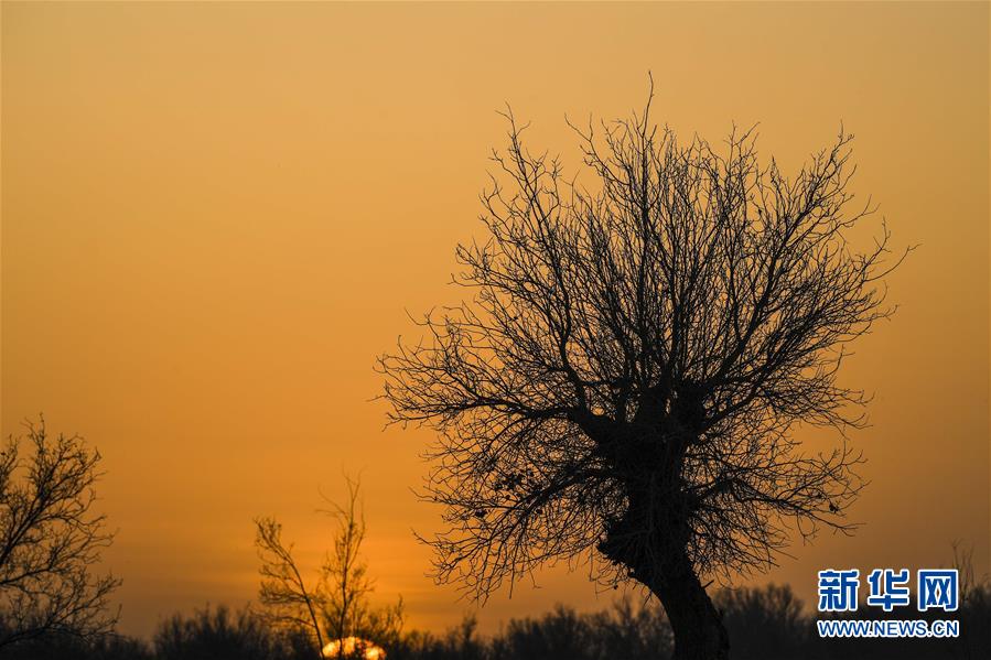 （新華全媒頭條&middot;圖文互動(dòng)）（2）一步千年，&ldquo;最后的沙漠部落&rdquo;遷入新家園